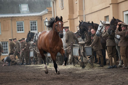 DreamWorks Pictures' War Horse