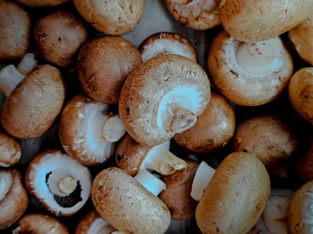 A bunch of mushrooms sitting on top of a table