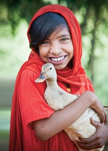ducks