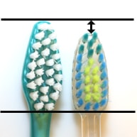 gumcrayola_head