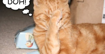 Hobbes