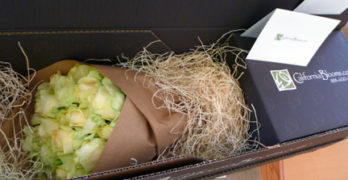 California Blooms Box