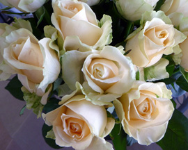 California Blooms Roses