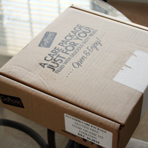 GoPicnic Box