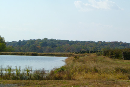 Homestead Farm View