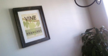 I Am The Vine