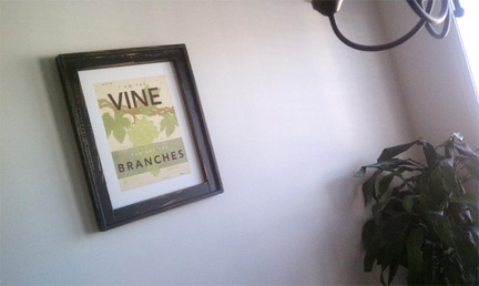 I Am The Vine