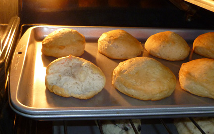 biscuit_monster Biscuits