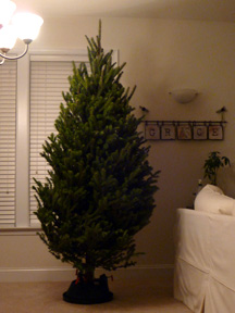 Christmas Tree