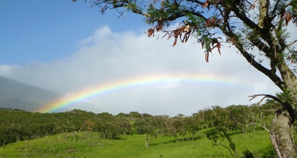 Rainbow