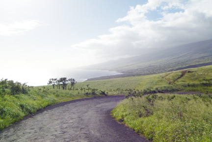 Hana Coast