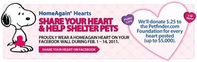 HomeAgain Hearts