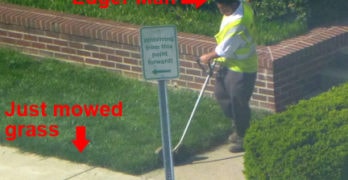 Edger Man
