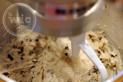 Chocolate Chip Mix