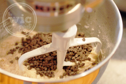 Chocolate Chip Mix