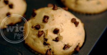 Chocolate Chip Muffins