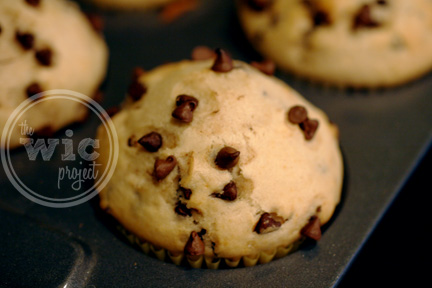 Chocolate Chip Muffins
