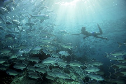 Underwater Fishing