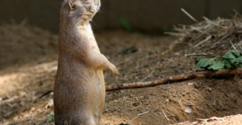 National Zoo
