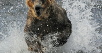 2010 Energizer Ultimate Photo Contest Winner