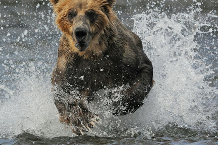 2010 Energizer Ultimate Photo Contest Winner