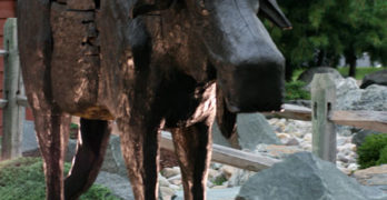 Bugaboo Creek Steak House