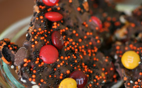 M&M's Bark