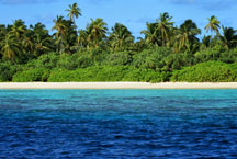 Paradise Island