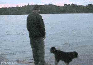 Jedi Dog Trick