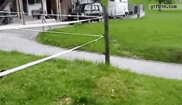 Duck Duck