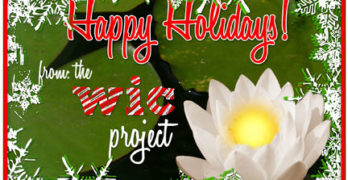 Happy Holidays