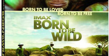 IMAX: Born to Be Wild