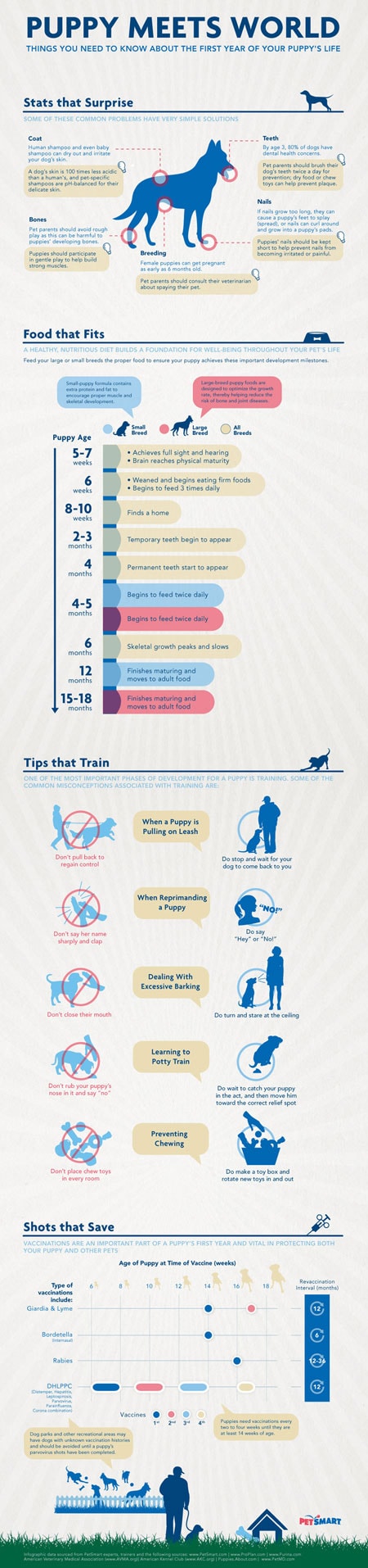 Puppy Infographic