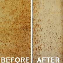 Oven Door Cleaning
