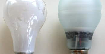 Old & New Standard Bulbs