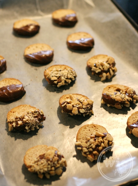 Chocolate Coated Melba Snacks