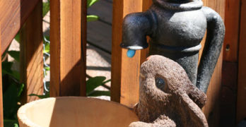 Welcome Bunny