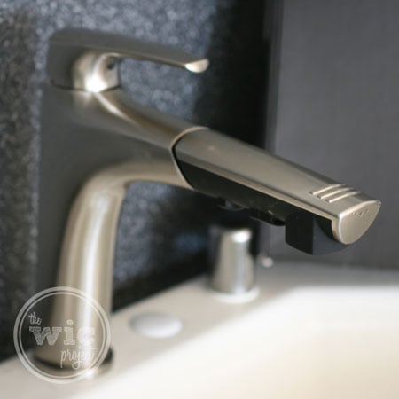 Danze Taju Faucet