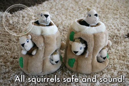 Hide A Squirrel