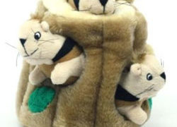Hide-A-Squirrel Dog Toy