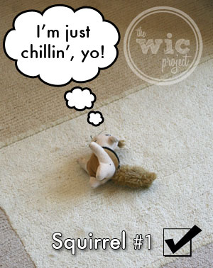 Squirrel #1