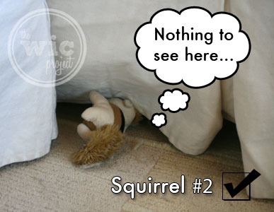 Squirrel #2