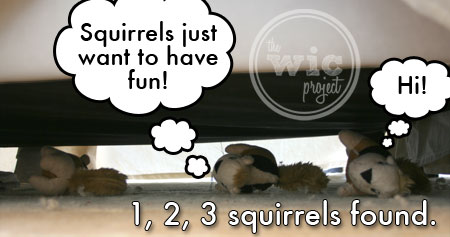 Squirrels 3, 4, 5