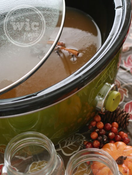 Apple Cider