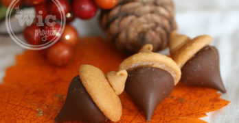 Chocolate Peanut Butter Acorn