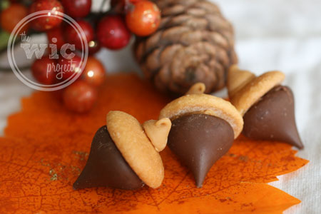 Chocolate Peanut Butter Acorn