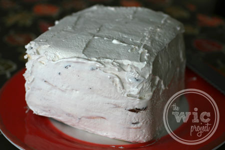 Frosted Ice Cream Cake