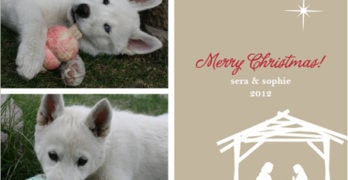 Minted Photo Christmas Card