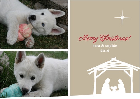 Minted Photo Christmas Card