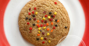 Homemade Whole Wheat Sugar Cookie